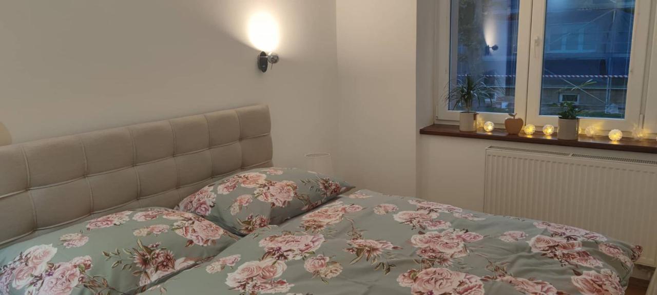 Apartman Visnovka パルドゥビツェ エクステリア 写真